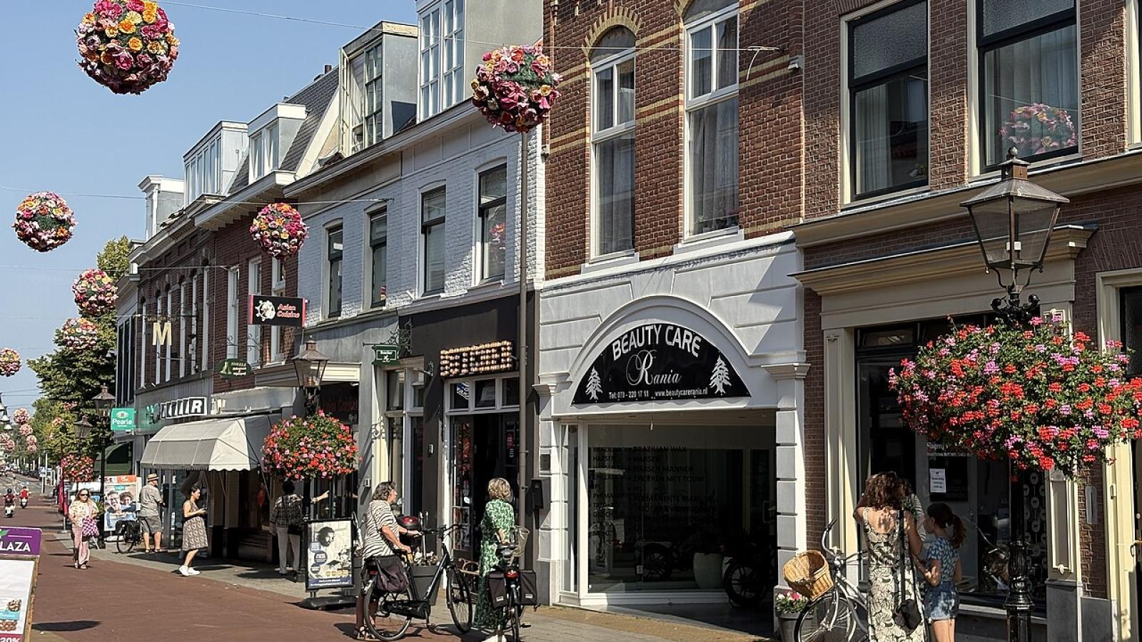 View of Rijswijk